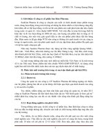 tiểu luận quản trị chiến lược và kinh doanh hiệu quả tại công ty cổ phần sao kim pharma