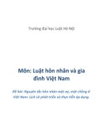 Nguyên tắc hôn nhân một vợ, một chồng ở Việt Nam. Lịch sử phát triển và thực tiễn áp dụng