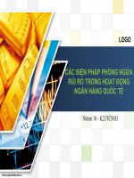 Thuyết trình môn ngân hàng quốc tế các biện pháp phòng ngữa rủi ro trong hoạt động ngân hàng quốc tế 