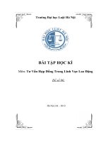 Tư Vấn Hợp Đồng Trong Lĩnh Vực Lao Động