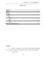 Phân tích và bình luận về các chủ thể có quyền lãnh đạo đình công theo quy định của luật sửa đổi, bổ dung một số điều của Bộ luật lao đông 2006