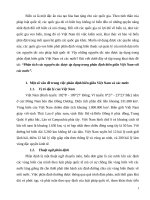 Phân tích các nguyên tắc được áp dụng trong phân định biển giữa Việt Nam với các nước