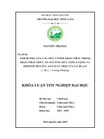 Ảnh hưởng của các mức Lysine khác nhau trong khẩu phần thức ăn có cùng mức năng lượng Protein đến sức sản xuất thịt của gà ri lai