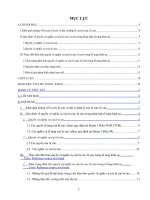 Địa vị pháp lí của bị can, bị cáo trong tố tụng hình sự