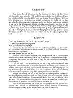 Thực tiễn áp dụng pháp luật thuế tiêu thụ đặc biệt và ý kiến pháp lý của nhóm nhằm khắc phục