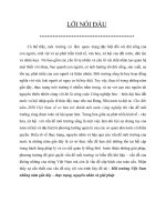 Môi trường Việt Namnhững năm gần đây – thực trạng, nguyên nhân và giải pháp