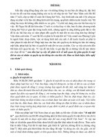 sưu tầm hai vụ việc để phân tích về mối quan hệ giữa quyền bí mật đời tư của cá nhân và quyền tự do thông tin của báo chí. Đưa ra bình luận, kiến nghị của nhóm