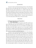 Tạm giam tố tụng hình và việc hoàn thiện pháp luật nhằm nâng cao hiệu quả áp dụng