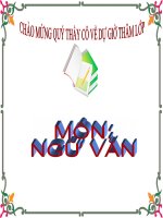 BÀI 19: CÁCH LÀM BÀI VĂN NGHỊ LUẬN VỀ MỘT SỰ VIỆC HIỆN TƯỢNG ĐỜI SỐNG