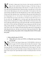 Hãy đề xuất những nội dung cần quy định chi tiết và hướng dẫn thi hành LTTTM (có phân tích cụ thể)