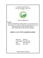 Theo dõi tình hình mắc bệnh viêm tử cung ở đàn lợn nái tại trại lợn của công ty TNHH một thành viên sản xuất kinh doanh thương mại Trường Thịnh và thử nghiệm một số phác đồ điều trị bệnh