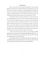 Thực trạng nuôi con nuôi có yếu tố nước ngoài theo pháp luật Việt Nam