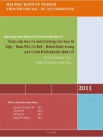 Toàn cầu hoá và môi trường văn hoá ai cập – nam phi cơ hội – thách thức trong quá trình kinh doanh quốc tế