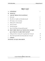 HOÀN THIỆN PHÁP LUẬT NHẰM NÂNG CAO HIỆU QUẢ ÁP DỤNG CỦA BIỆN PHÁP TẠM GIỮ