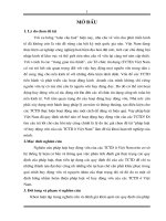 Thực trạng pháp luật điều chỉnh hoạt động huy động vốn TCTD Việt Nam