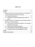 Phân tích một số quy định về bảo hộ sáng chế trong pháp luật sởhữu trí tuệ thể hiện nguyên tắc cân bằng lợi ích trong việc bảo hộ quyền sở hữu trí tuệ