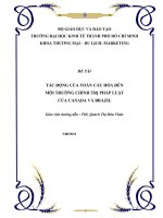Tác động của toàn cầu hóa đến môi trường chính trị pháp luật của canada và brazil