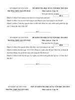 Đề thi học kì 2 môn Lịch sử lớp 10 trường THPT Nguyễn Huệ, Quảng Nam năm học 2013  2014