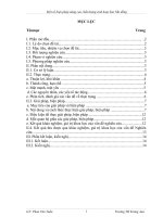 skkn một số biện pháp nâng cao chất lượng sinh hoạt sao nhi đồng