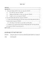 Phân tích tác động của Luật quốc tế đối với quá trình hoàn thiện các quy định của hệ thống pháp luật Việt Nam trong một lĩnh vực cụ thể