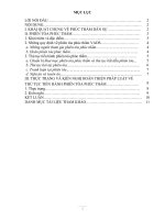 Thủ tục tiến hành phiên tòa phúc thẩm dân sự và kiến nghị hoàn thiện pháp luật về thủ tục tiến hành phiên tòa phúc thẩm dân sự