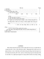 Thực trạng và giải pháp hoàn thiện việc bảo vệ hiện trường hiện nay