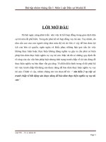 tìm hiểu 2 vụ việc có tranh chấp về bất động sản được dùng để bảo đảm thực hiện nghĩa vụ vay tài sản