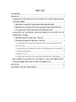 Phân tích nguyên tắc tập trung – dân chủ và chỉ ra ý nghĩa của nguyên tắc này trong quản lí hành chính nhà nước ở Việt Nam hiện nay