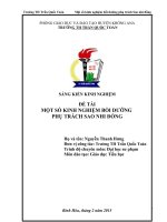 skkn một số kinh nghiệm bồi dưỡng phụ trách sao nhi đồng