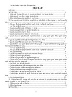 Bài tập lớn học kì môn Luật tố tụng hình sự