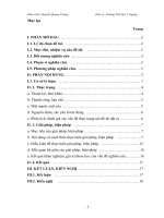 skkn một số kinh nghiệm trong công tác đội giúp nâng cao hiệu quả hoạt động ở các trường có học sinh dân tộc thiểu số