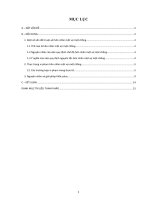 Vi phạm nguyên tắc hôn nhân một vợ một chồng - thực trạng, nguyên nhân và giải pháp