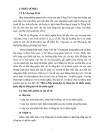 skkn  dạy từ đồng âm từ nhiều nghĩa, phân biệt từ đồng âm từ nhiều nghĩa 