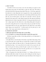 Vi phạm nguyên tắc hôn nhân một vợ, một chồng - Thực trạng, nguyên nhân và biện pháp xử lý