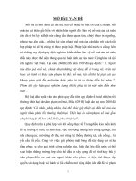 THỰC TRẠNG VIỆC XÂM PHẠM MỒ MA CỦA CÁ NHÂN VÀ GIAI QUYẾT VỀ TRÁCH NHIỆM BỒI THƯỜNG THIỆT HẠI