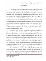 Tiểu luận tình huống xử lý tình huống vi phạm luật đê điều 