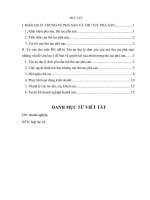 Tư vấn cho một doanh nghiệp (đã bị Tòa án thụ lý đơn yêu cầu) mở thủ tục phá sản những vấn đề cần lưu ý để bảo vệ quyền lợi của mình trong thủ tục phá sản