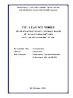 Tiểu luận tình huống công tác điều chỉnh quy hoạch xây dựng xã nông thôn mới trên địa bàn thành phố 