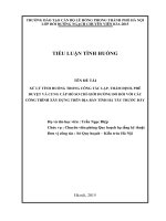 Tiểu luận tình huống ngạch chuyên viên quy định về phân cấp lập, thẩm định, phê duyệt và cung cấp hồ sơ chỉ giới đường đỏ đối với các công trình xây dựng trên địa bàn thành phố hà nội 
