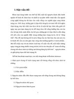nam nữ sống chung với nhau như vợ chồng mà không đăng ký kết hôn” - nguyên nhân và giải pháp hạn chế tình trạng đó