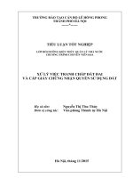 Tiểu luận tình huống xử lý việc tranh chấp đất đai và cấp giấy chứng nhận quyền sử dụng đất