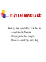 Bài Giảng Luật Lao Động