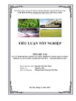 Tiểu luận xử lý tình huống giống lúa bắc thơm số 7 kém chất lượng trong vụ xuân 2015