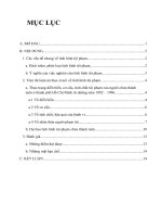 Thực trạng diễn biến, cơ cấu, tính chất tội phạm của người chưa thành niên ở thành phố Hồ Chí Minh từ những năm 1992 – 1996