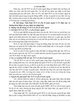 Tình hình NCN có yếu tố nước ngoài hiện nay của Việt Nam