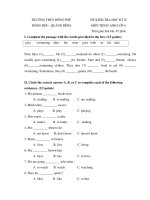 Đề thi lớp 6 học kì 2 môn tiếng anh đề số 11