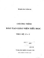 Đào tạo giáo viên tiểu học theo hệ 12+2