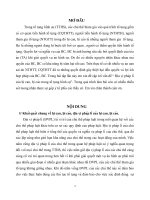 Địa vị pháp lí của bị can, bị cáo trong tố tụng hình sự