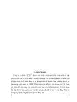 Tính tất yếu phải bảo vệ quyền lợi của cổ đông thiểu số