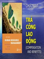 Trả Công Lao Động (Compensation And Benefits)